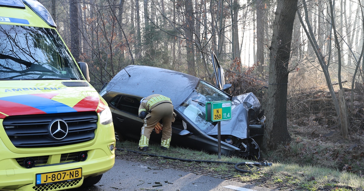 Bestuurder stapt zelf uit voertuig na botsing tegen boom in Wierden