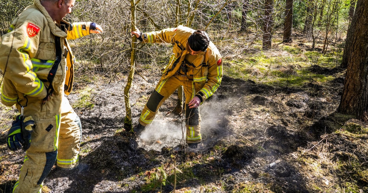 Natuurgebied Leenderheide opnieuw getroffen door bosbrand