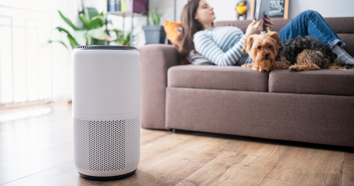 Best getest: deze twee apparaten maken de lucht in huis vrij van stof ...