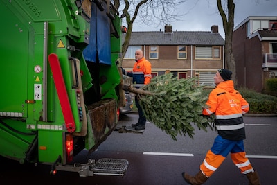 Gemeente Het Hogeland haalt geen kerstbomen op