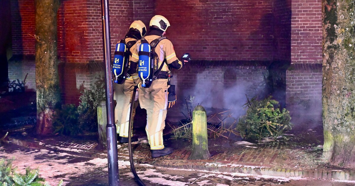 Gedumpte kerstbomen in brand achter Mariakapel in Vianen