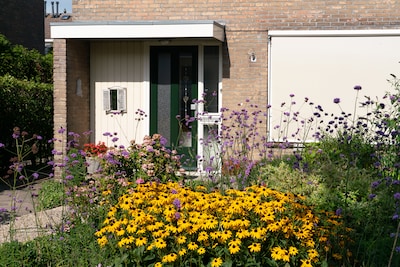 Gratis voortuin make-over voor Zwolse huurders