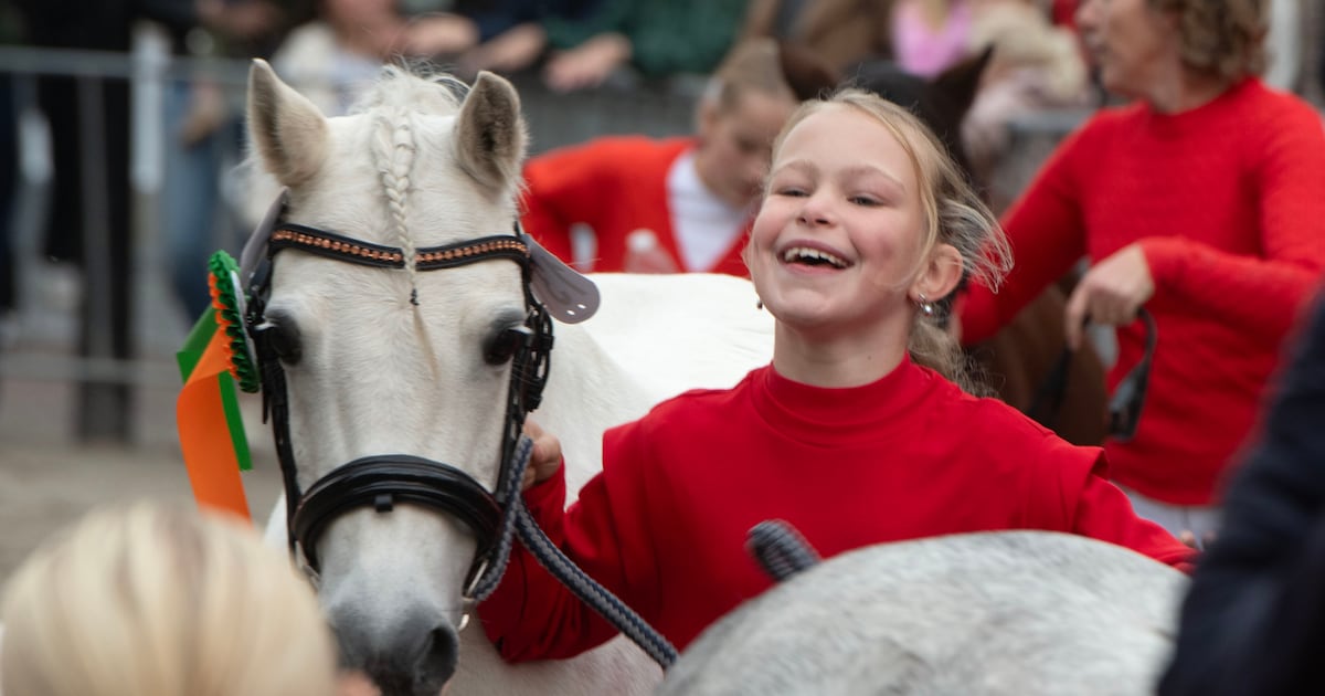 Na 754 jaar paardenmarkt hoopt Vianen dat de koek nog lang niet op is: ‘Gewoon machtig mooi’