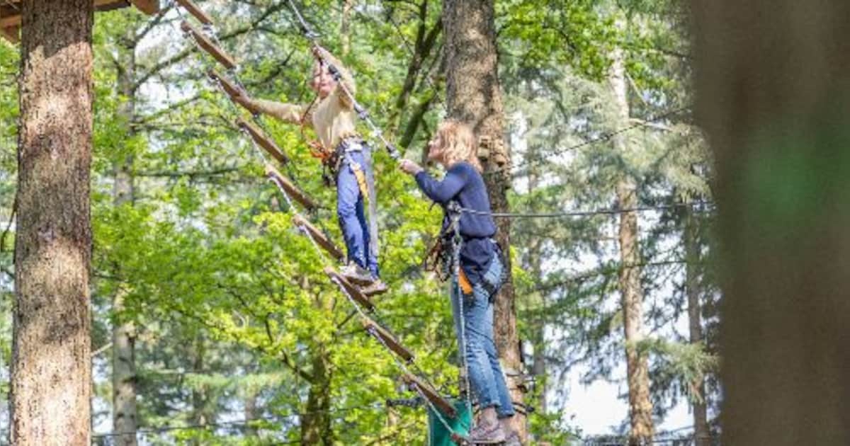 Klimbos Dordrecht viert vijfjarig bestaan met opening vernieuwde klimroute