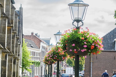 Image related to the article