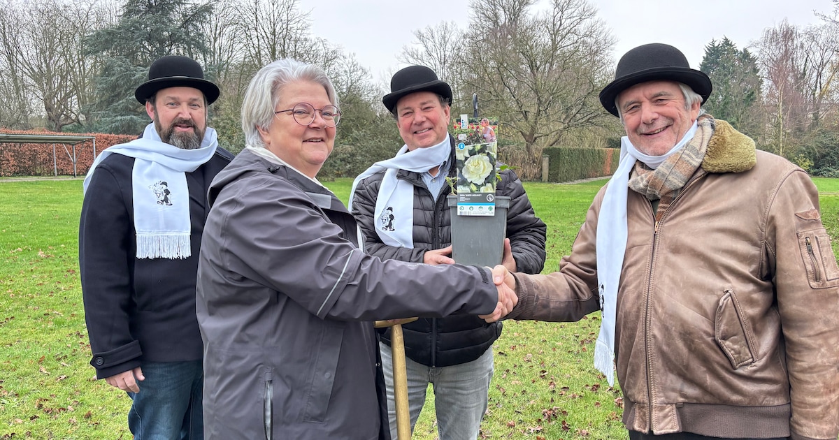 IQ Aarmoei-nieke feliciteert Roosendaal met winst tegelwipkampioenschap