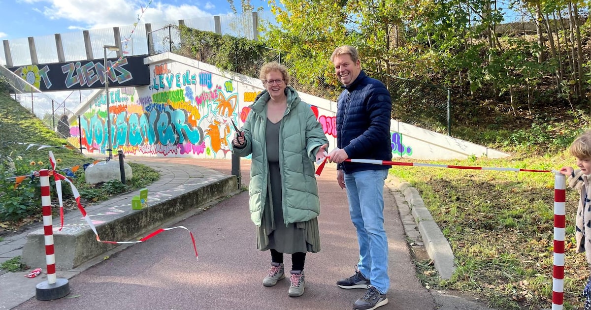 Fietsdoorgang Vossenerlaan in Blerick opgeknapt met graffiti
