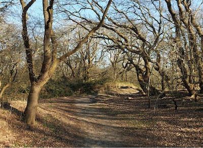 Van stad naar zee: deze Haagse parken vormden ooit een landschap