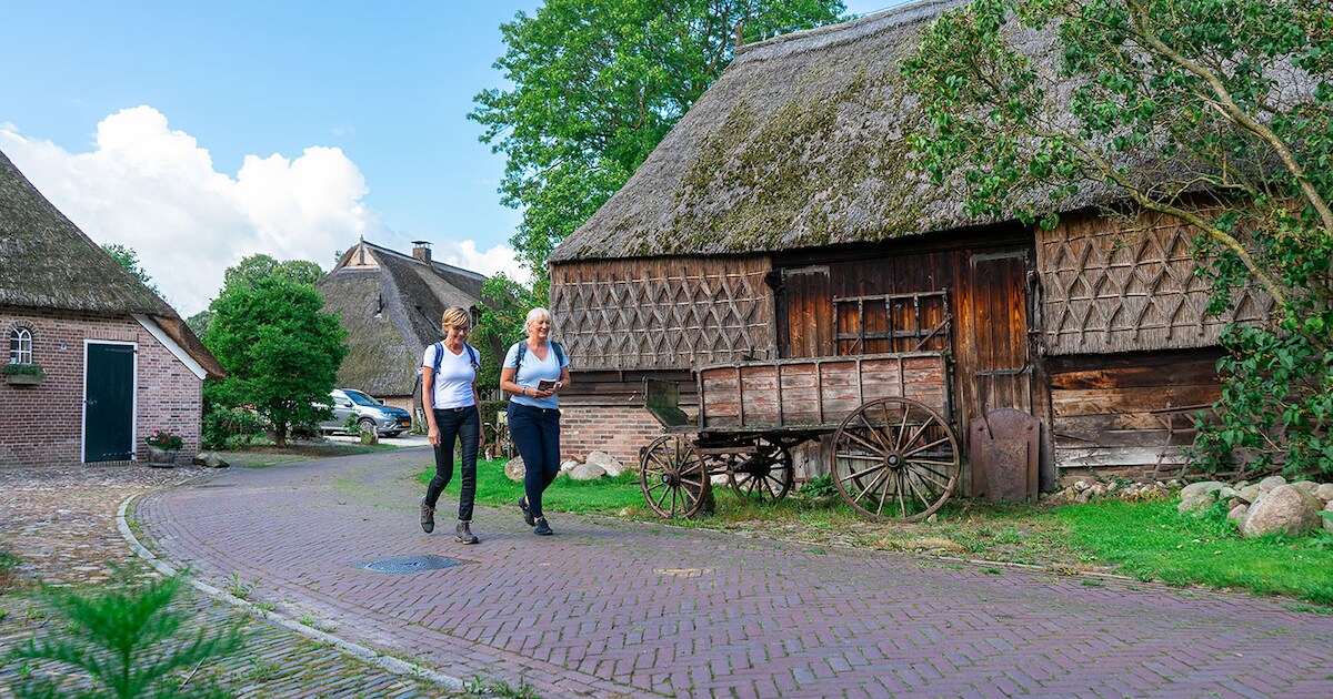 Historische dorpswandeling door Gees: ontdek het esdorp en Beelden in ...