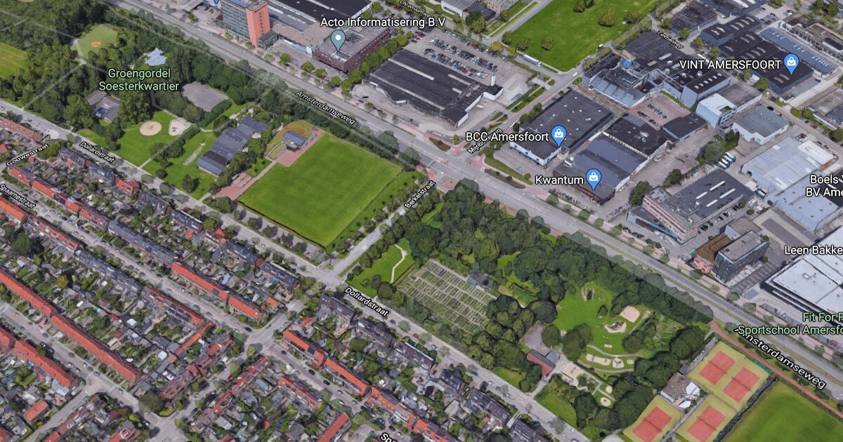 Amersfoort door het stof: wel degelijk monumentale bomen in het Soesterkwartier