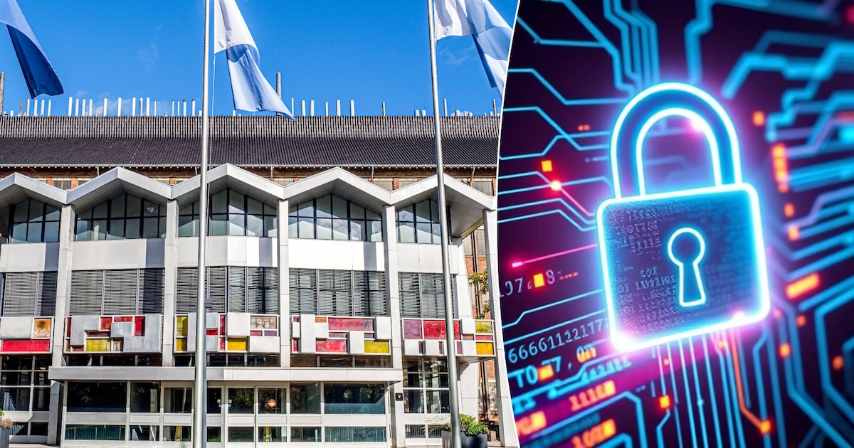 RIVM haalt website offline na hack: ‘We werken eraan om de lek te ...