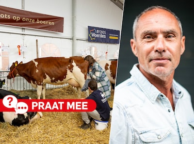 Kan de Koeiemart in de huidige opzet nog of is deze folklore achterhaald?