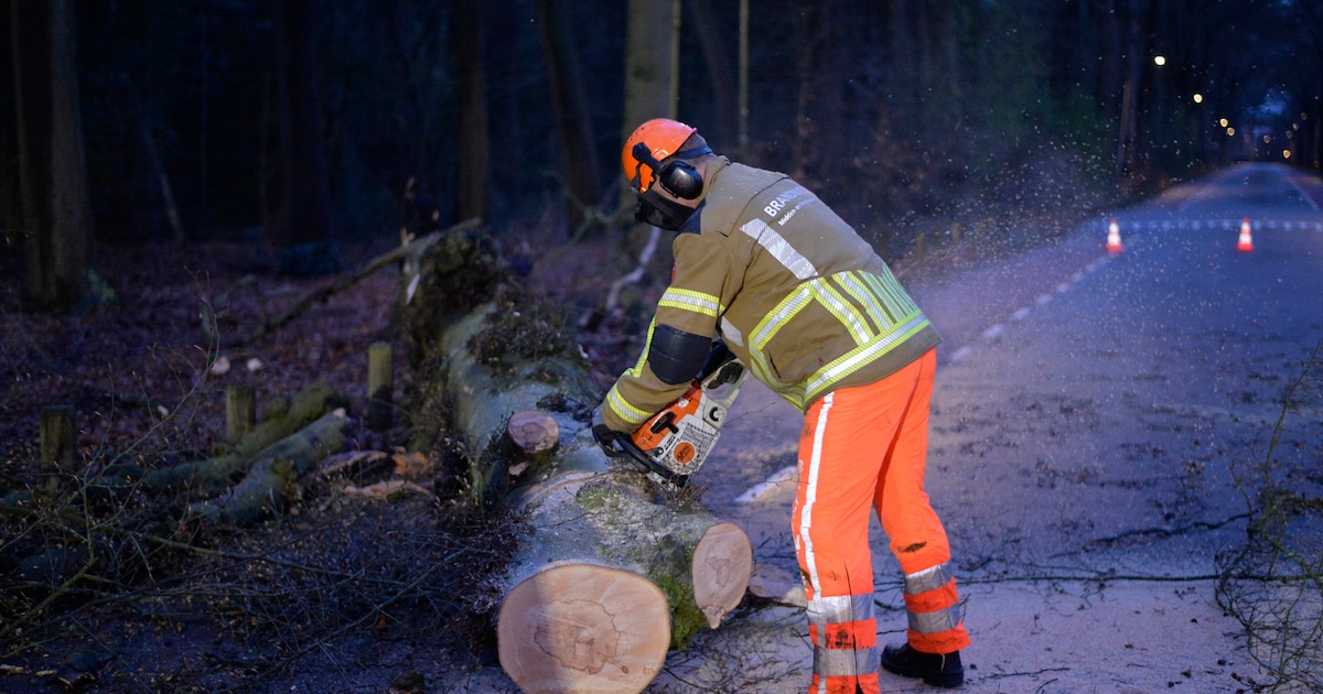 Boom waait om en verspert de weg in Breda