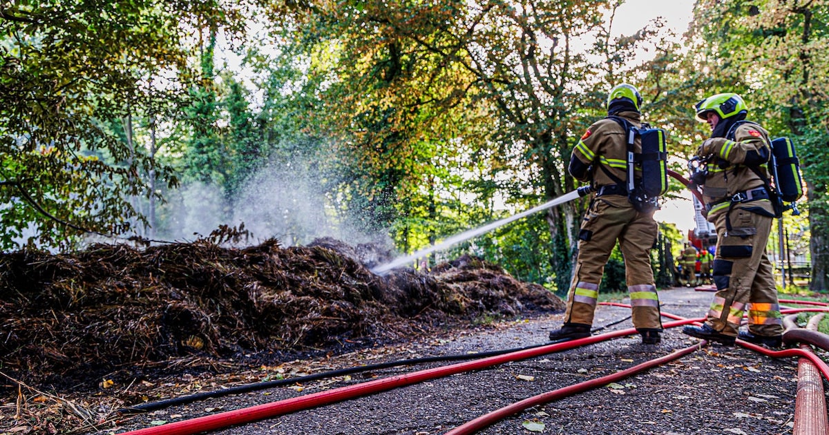 Grote hoop gemaaid riet in brand in Boxtel, voorbijganger ziet rookpluim en waarschuwt hulpdiensten