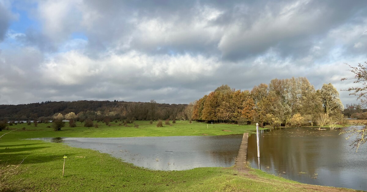 Natuurgebieden bij Rhenen tijdelijk gesloten vanwege het hoge water ...
