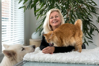 Loslopende katten bedreigen vogels op vliegbasis Soesterberg: dít kun je doen om roofgedrag van je k