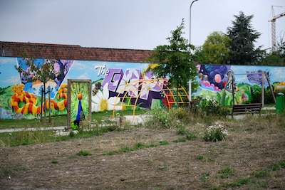 Image related to the article