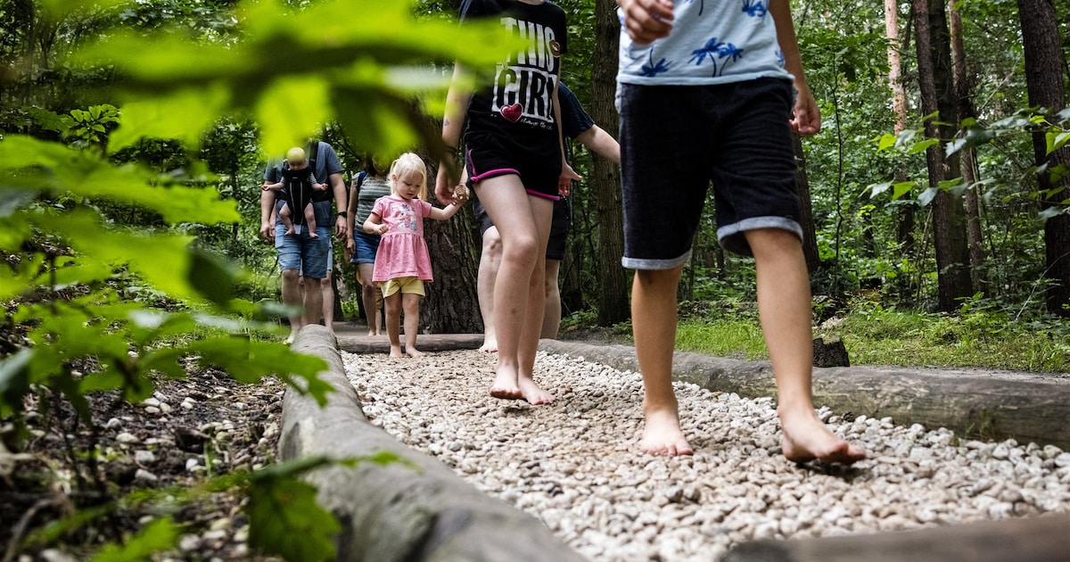 Blotevoetenpad voor jonge kinderen in Montfort