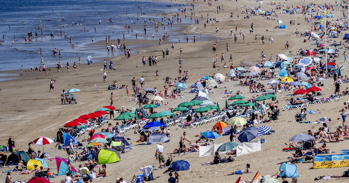 Het blijft zomers strandweer, maar pas op: een plons in zee is nog niet zo verstandig