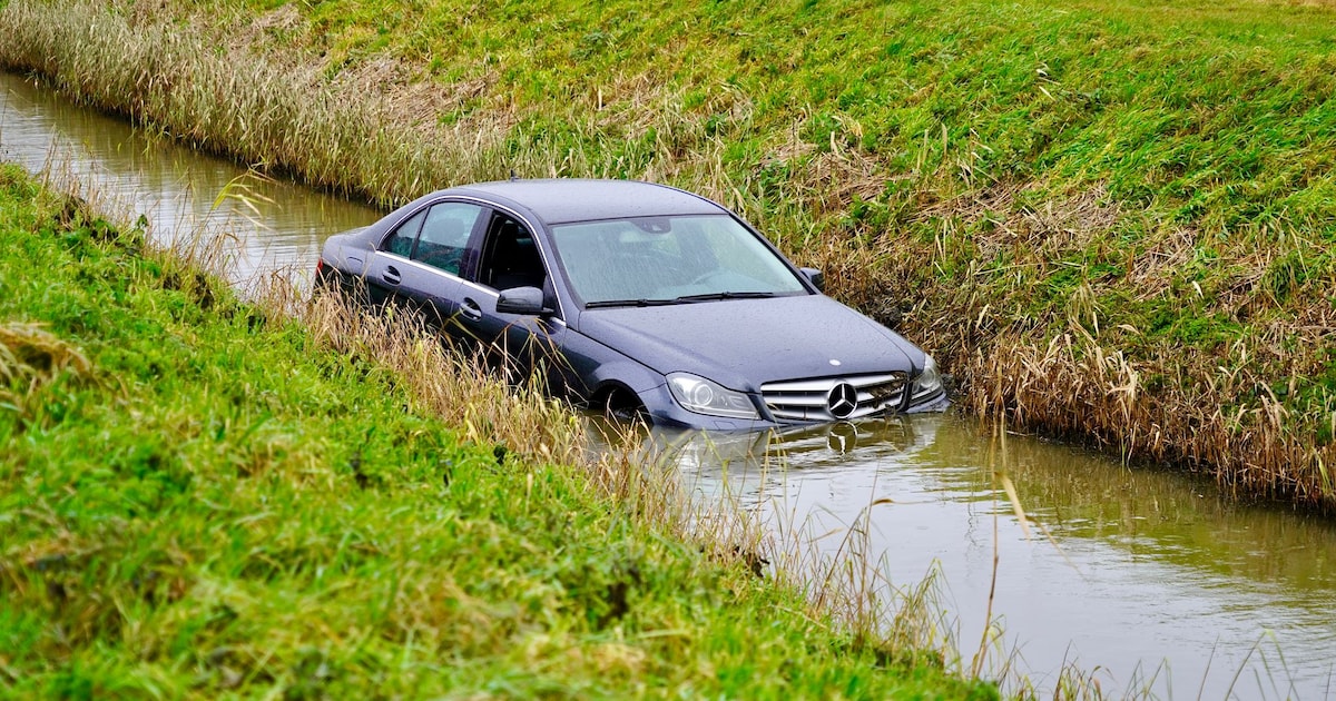 Auto belandt in de sloot op Kadijkweg in Andijk: bestuurder en hondje door brandweer bevrijd