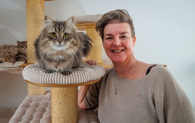 Poes Unique verovert kattenshow met een mooi bol koppie: ‘Ze was als kitten al een bolleboos’