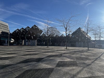 Image related to the article