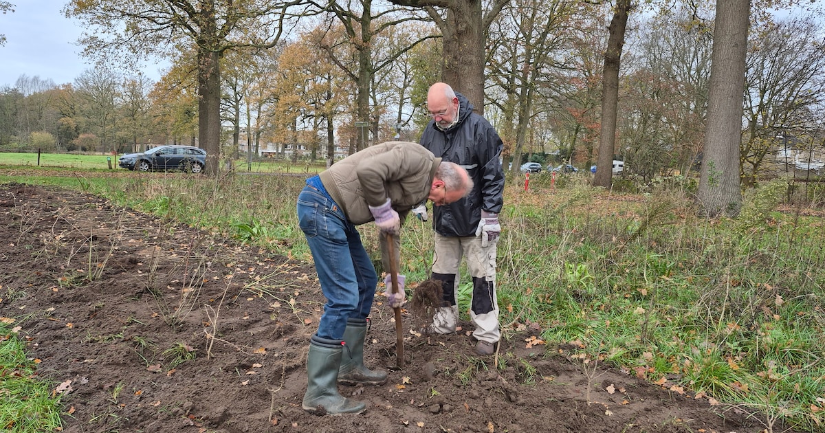Meer Bomen Nu organiseert oogstdagen in IJsselstein