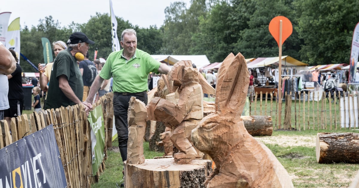 Houthakkersfeest Lage Vuursche keert terug in augustus
