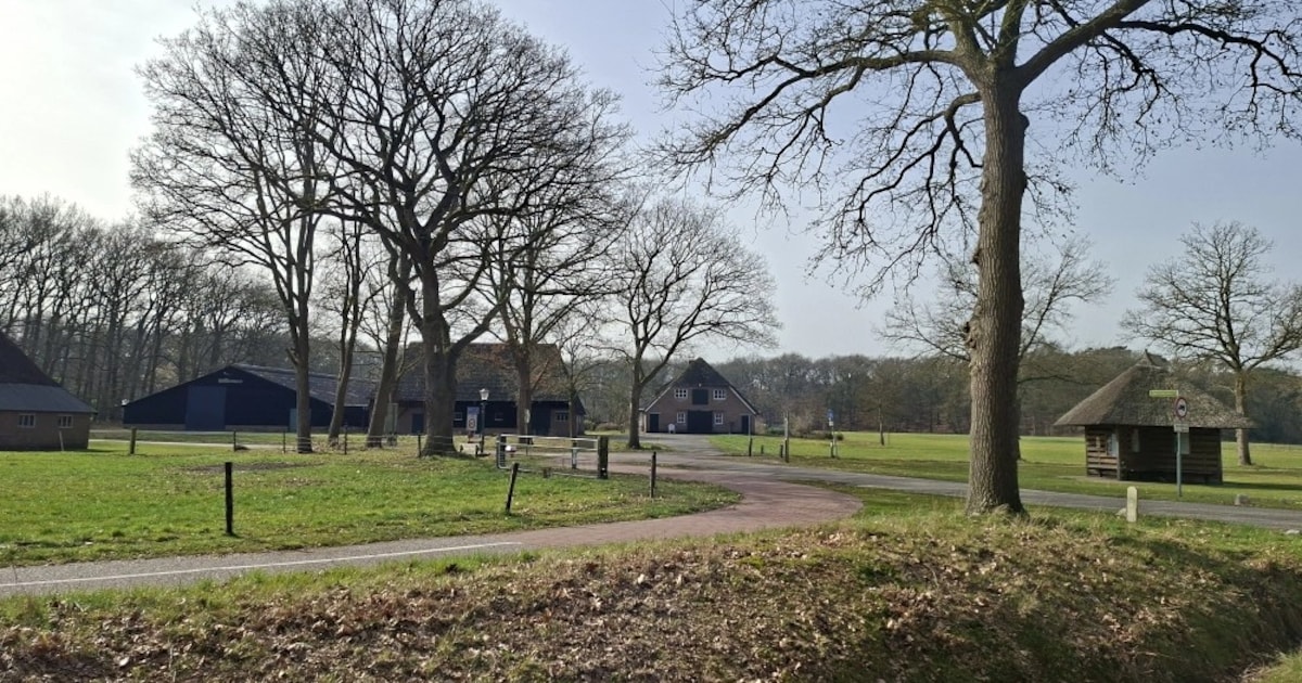 Oude schuren verdwijnen, Landschap Overijssel aan de slag met erf in Beerze