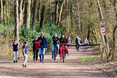 New report: cycling in Haarlem gets a 6+