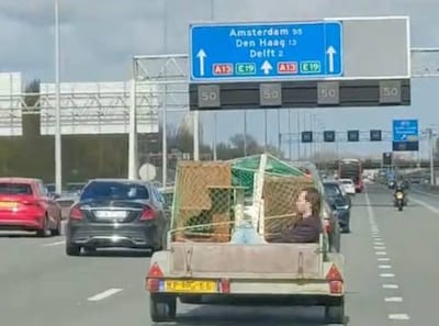 Passagier in aanhangwagen trekt veel bekijks op snelweg: ‘In Texas heel normaal, maar in Nederland?’
