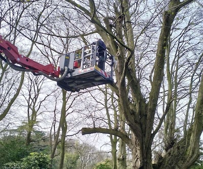 Met dank aan hulp van de brandweer kon dit slachtoffer bevrijd worden uit de benarde positie