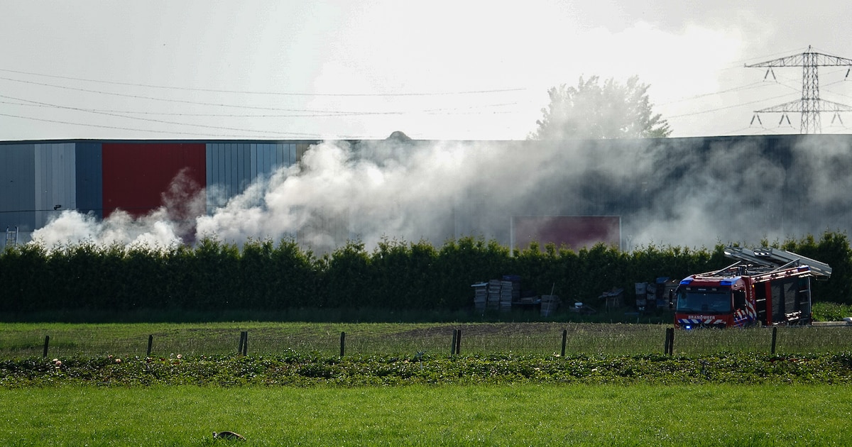 Veel rook bij brand in container bij bedrijf in Ursem