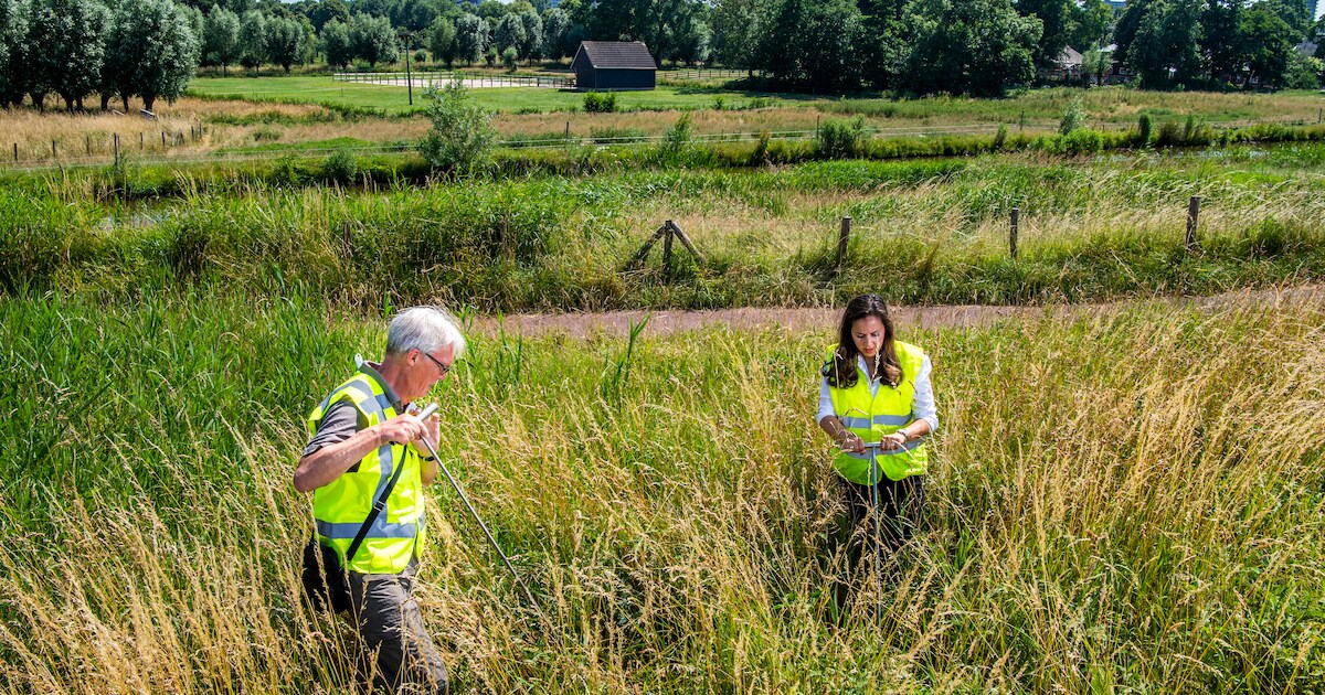 HHNK inspecteert 450 kilometer aan droogtegevoelige dijken
