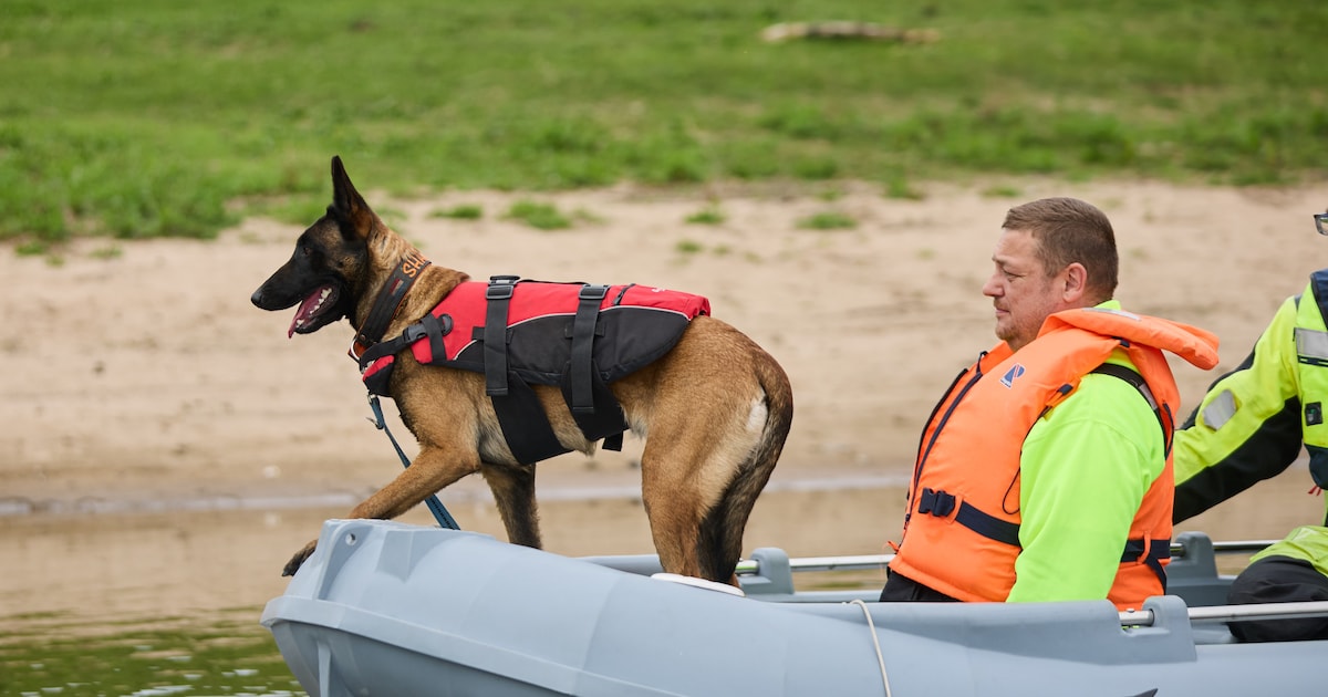 Clubhuis van speurhondenteam ligt in de as, maar Shady (2) blaft gewoon door: ‘Dit is onze passie’