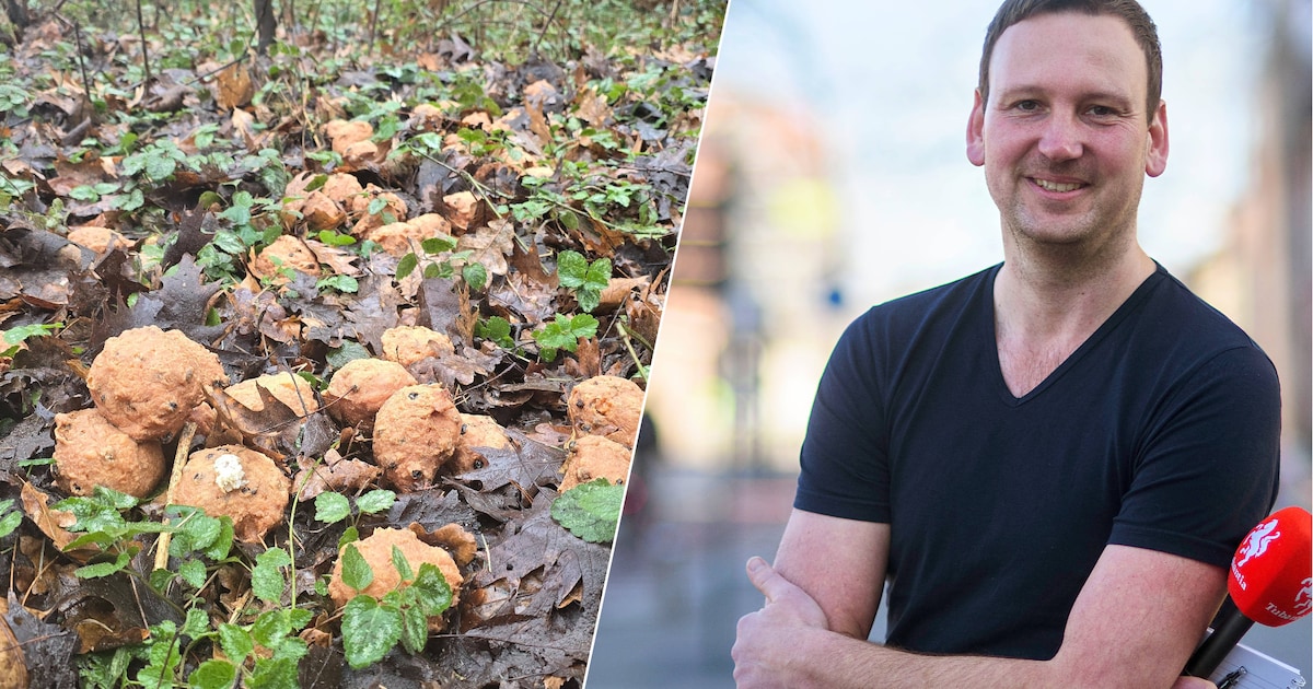 Vandaag in de Hof: Gaan inwoners van Delden de oliebollen opruimen?