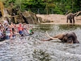 ARTIS-Park tickets met korting