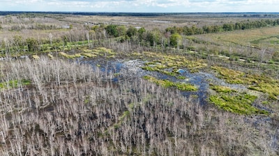 Image related to the article