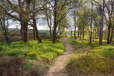 Wandeling met gids op Veluwezoom zondag 14 juni