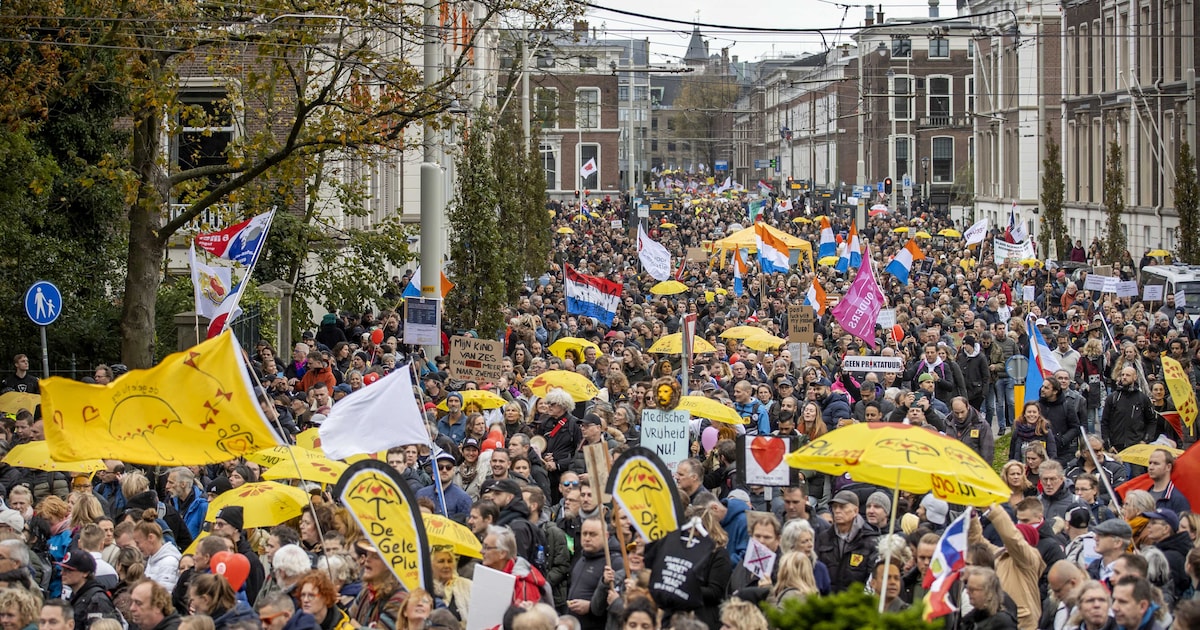 Tienduizenden coronademonstranten door Haagse straten: ‘Hoop dat massale mars mensen de ogen opent’