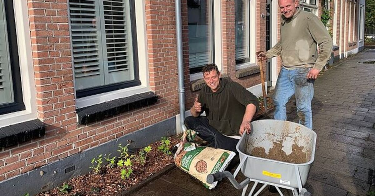 Bewoners Nieuwstraat leggen geveltuinen aan: De Bilt maakt vergroenen makkelijker