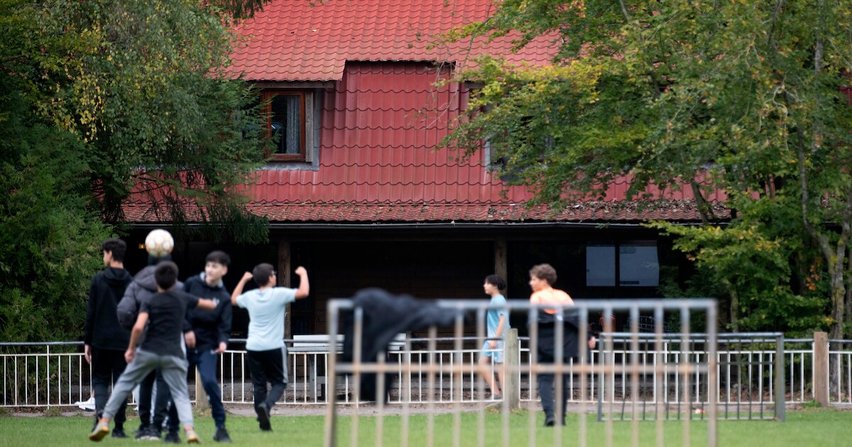 Heino houdt adem in: verdwijnt geliefd zomerkamp na jarenlange vete?