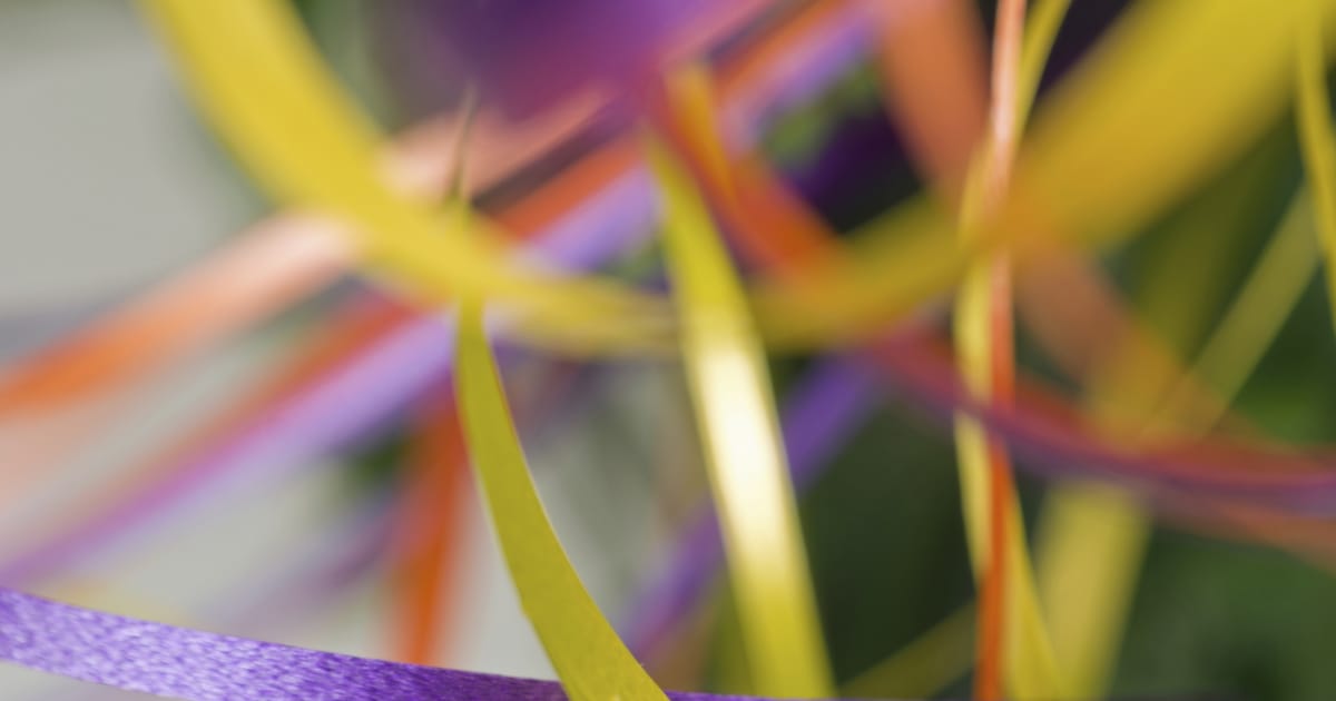 Seniorencarnaval bij Den Eijkholt in Luyksgestel
