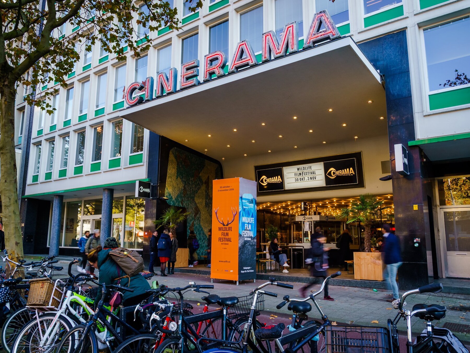 Natuurfilms kijken bij Trompenburg of Diergaarde Blijdorp: WFFR gaat de wijk in