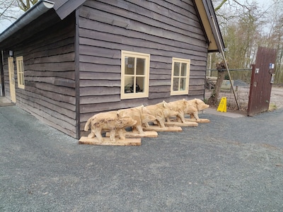 Image related to the article