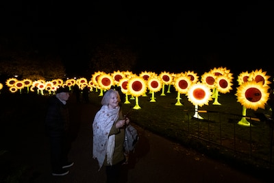 Recordaantal bezoekers voor twintigste editie van Glow: ‘Mensen voelen zich verbonden’