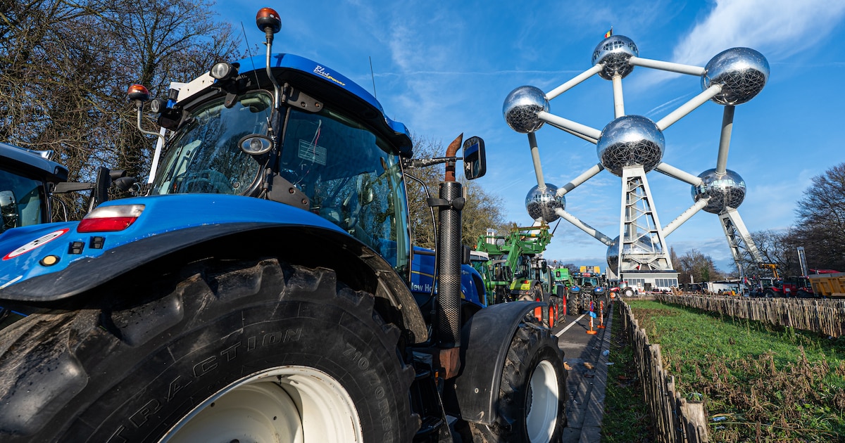 Braderie in Nederweert viert 10 jaar Boeren van Nederweert