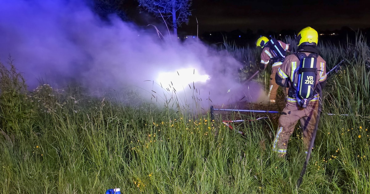 Brandweer rukt uit voor brand in riet langs N214 bij Wijngaarden, mogelijk zwanennest in vlammen