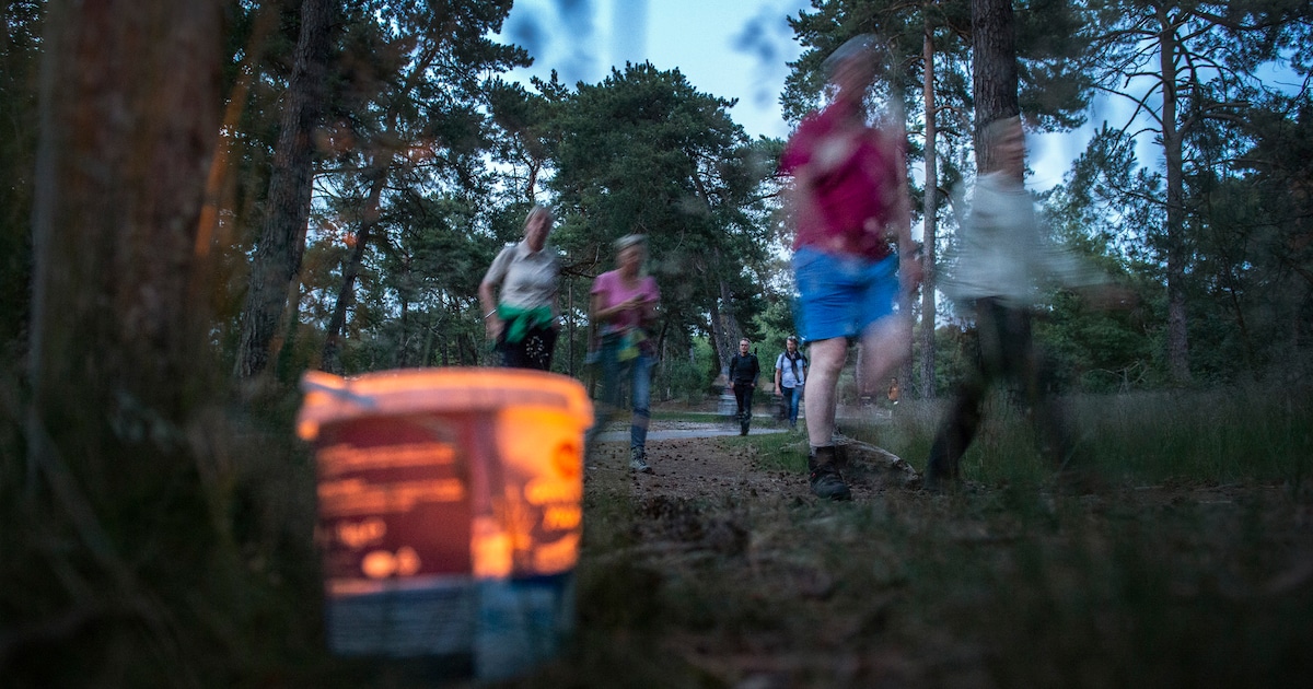 Nachtwandelingen in Wijk aan Zee en Heemskerk vragen aandacht voor lichtvervuiling