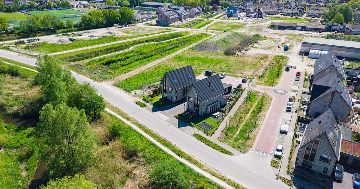 Bouw van tientallen woningen in Renswoude ligt maanden stil door konijnen, uilen en hazen